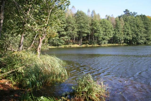 Bobrowa Przystan Villa Czechyn Luaran gambar