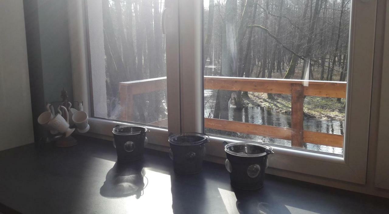 Bobrowa Przystan Villa Czechyn Luaran gambar